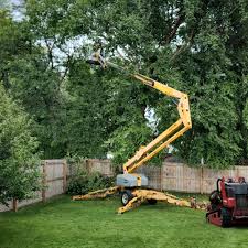 Best Lawn Drainage Solutions  in Eatons Neck, NY