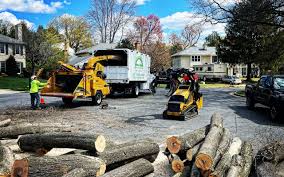 Grass Overseeding in Eatons Neck, NY