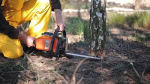 Best Soil Testing and Treatment  in Eatons Neck, NY