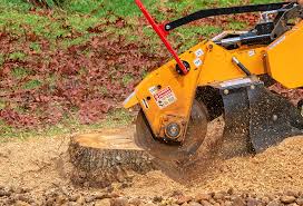 Best Lawn Irrigation Installation and Maintenance  in Eatons Neck, NY
