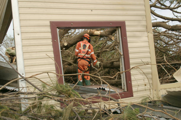 Best Stump Grinding and Removal  in Eatons Neck, NY