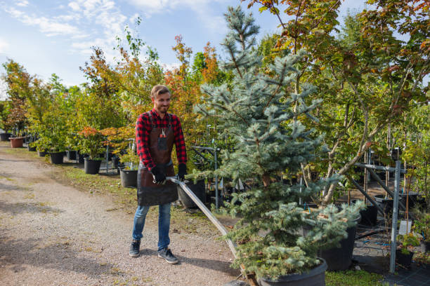 Best Tree and Shrub Care  in Eatons Neck, NY